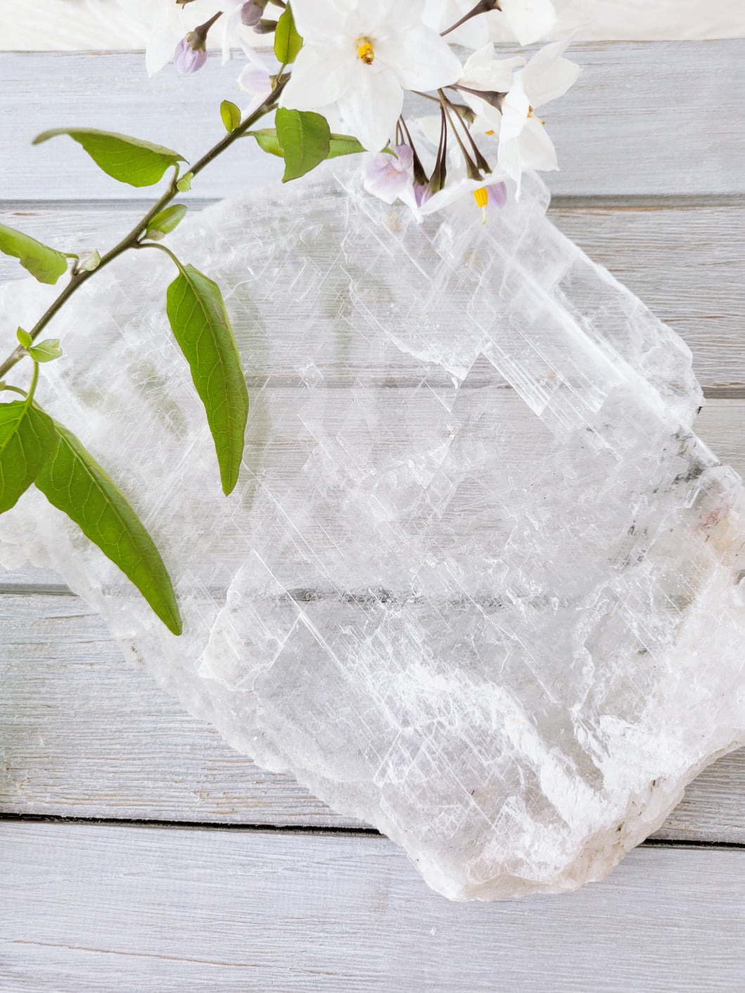 Selenite Gypsum Charging Plate